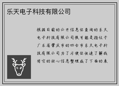 乐天电子科技有限公司